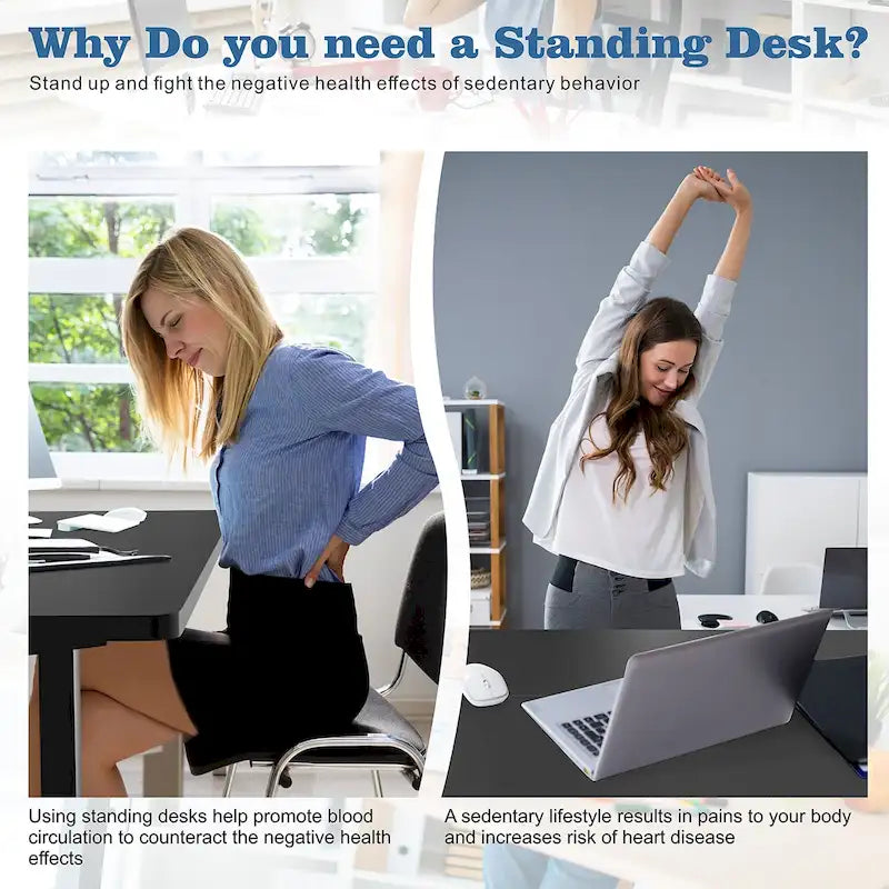 Bureau assis-debout électrique réglable en hauteur Futzca avec panneau de jonction