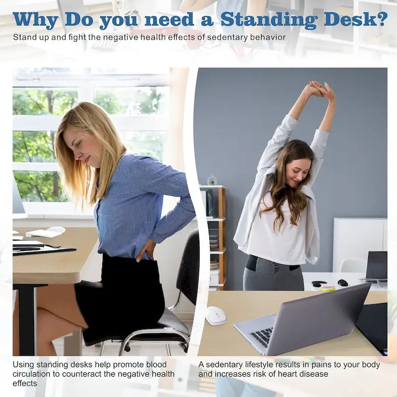 Bureau assis-debout électrique réglable en hauteur Futzca avec panneau de jonction