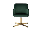 Fauteuil en velours vert - dlz1766583088995